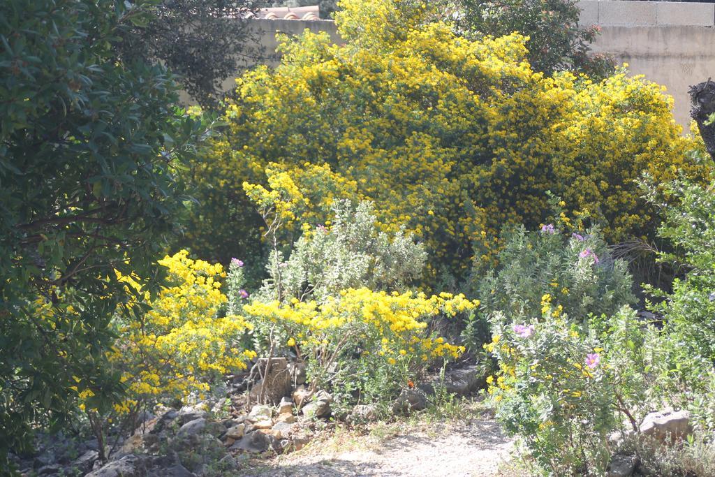 A L'Est D'Uzes Villa Saint-Siffret Exteriör bild