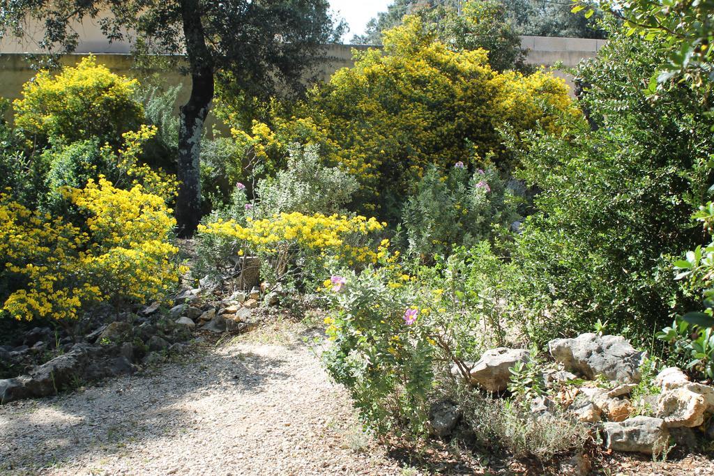 A L'Est D'Uzes Villa Saint-Siffret Exteriör bild